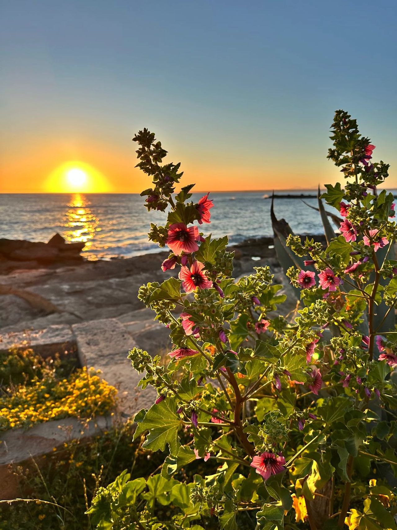 Offenes Reiki-Retreat auf Mallorca Offenes Reiki-Retreat auf Mallorca