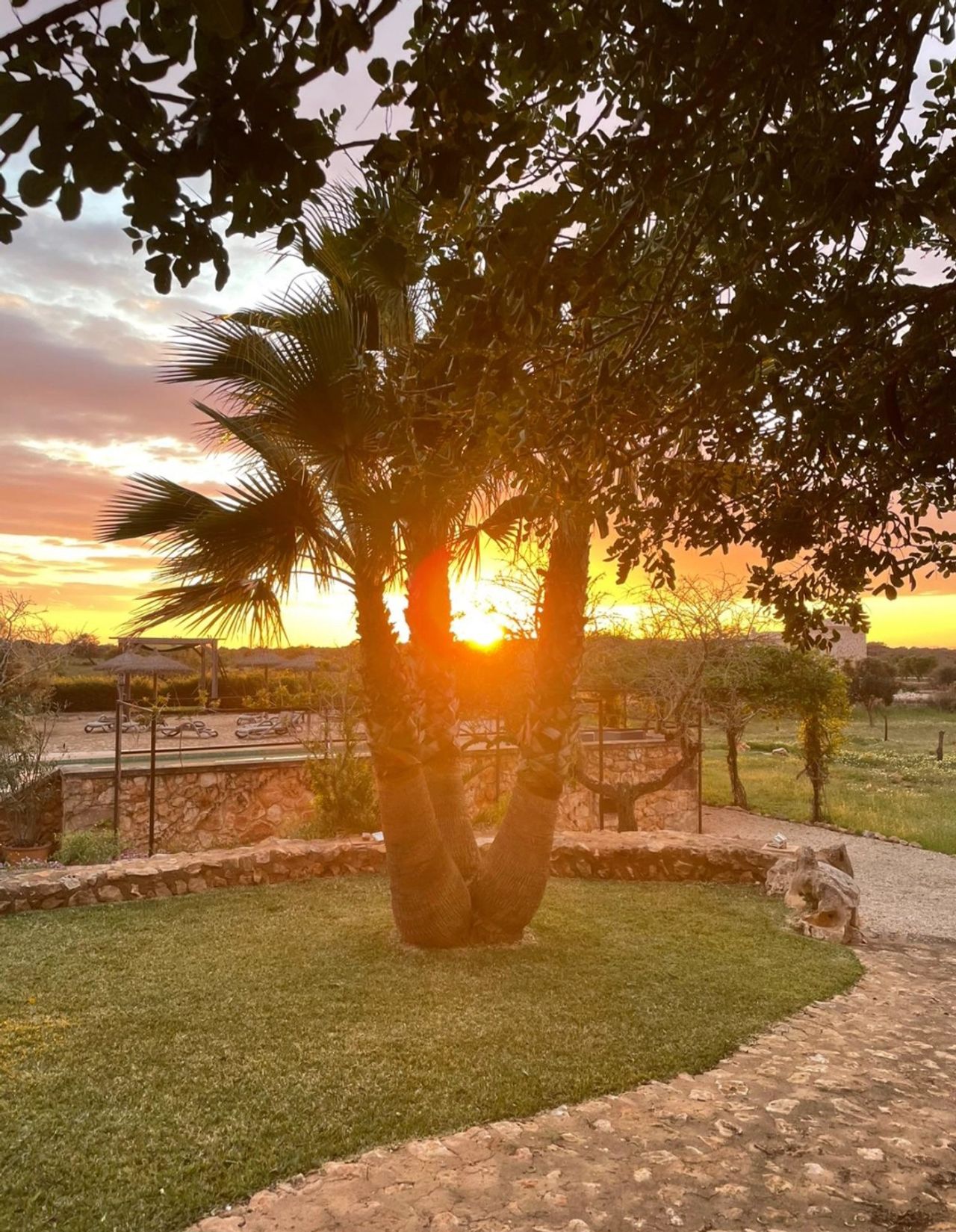 Offenes Reiki-Retreat auf Mallorca