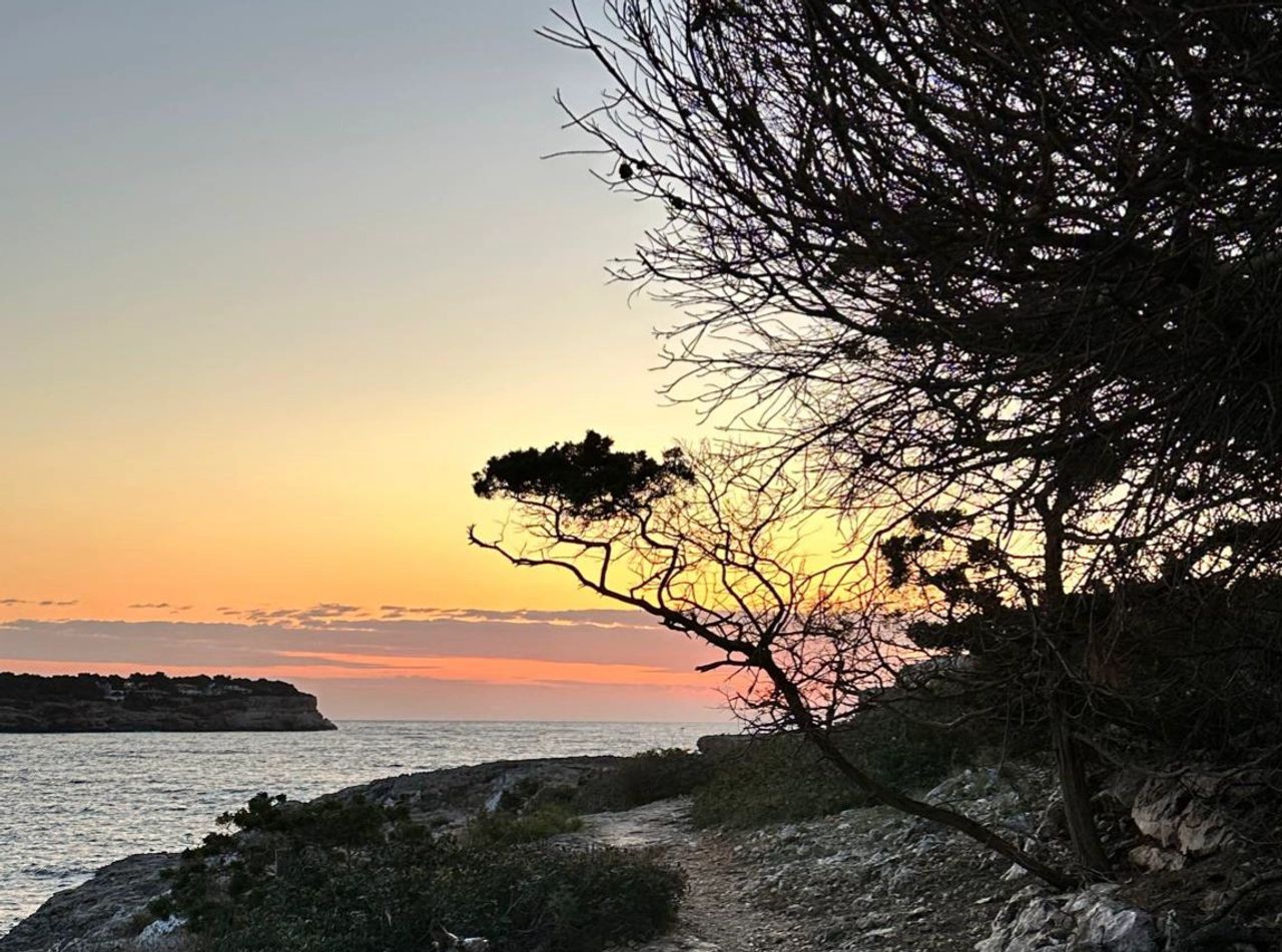 Offenes Reiki-Retreat auf Mallorca