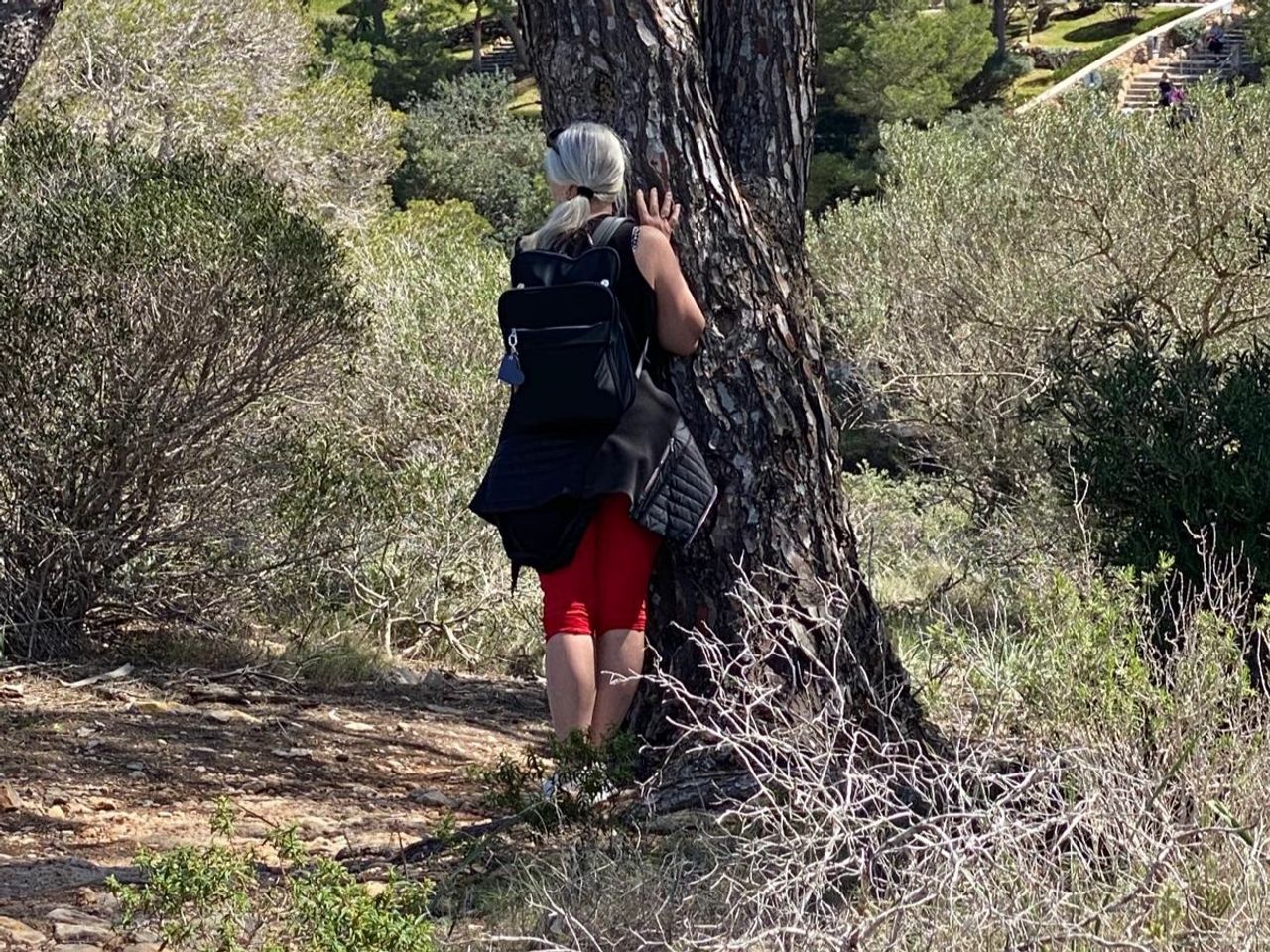 Offenes Reiki-Retreat auf Mallorca