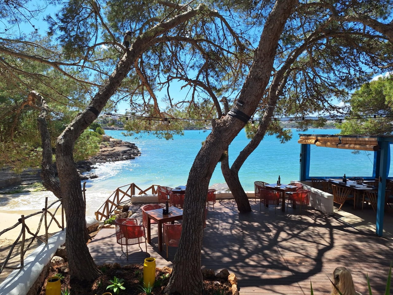 Offenes Reiki-Retreat auf Mallorca