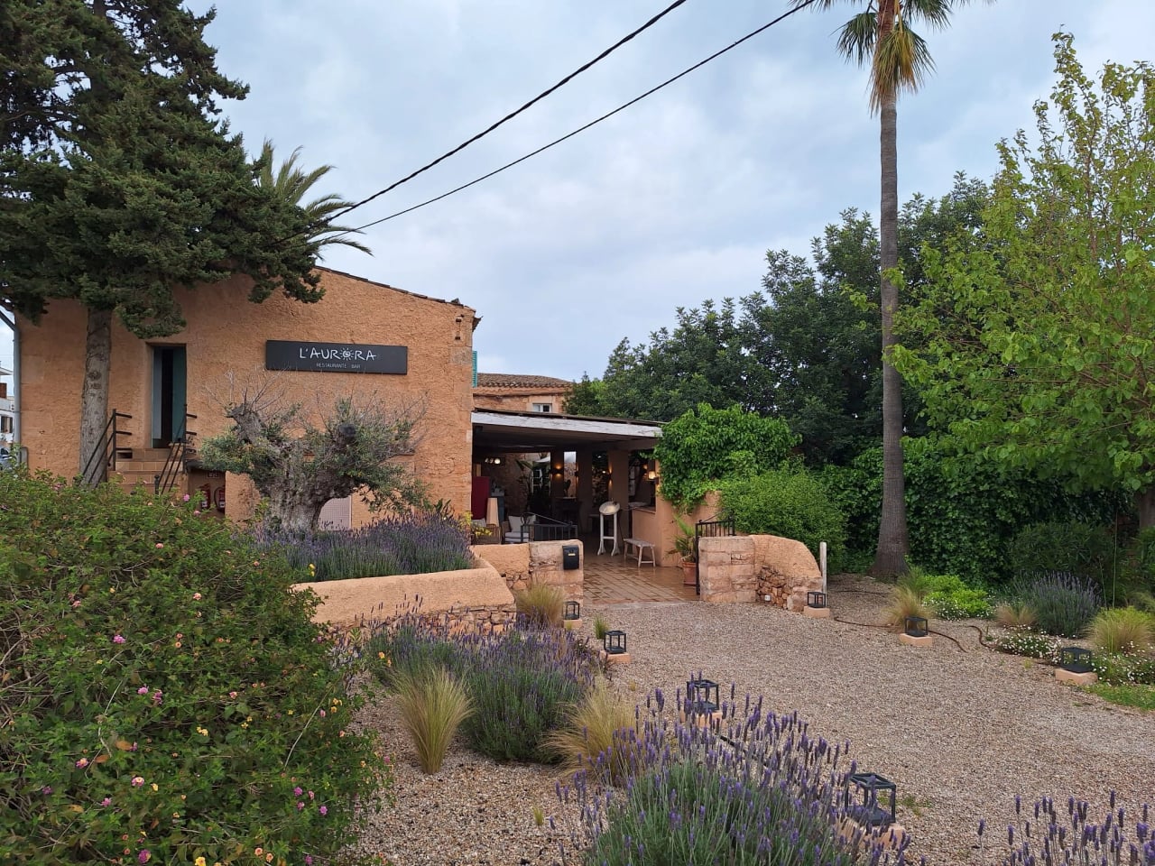 Offenes Reiki-Retreat auf Mallorca