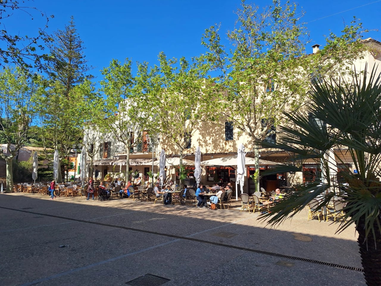 Offenes Reiki-Retreat auf Mallorca