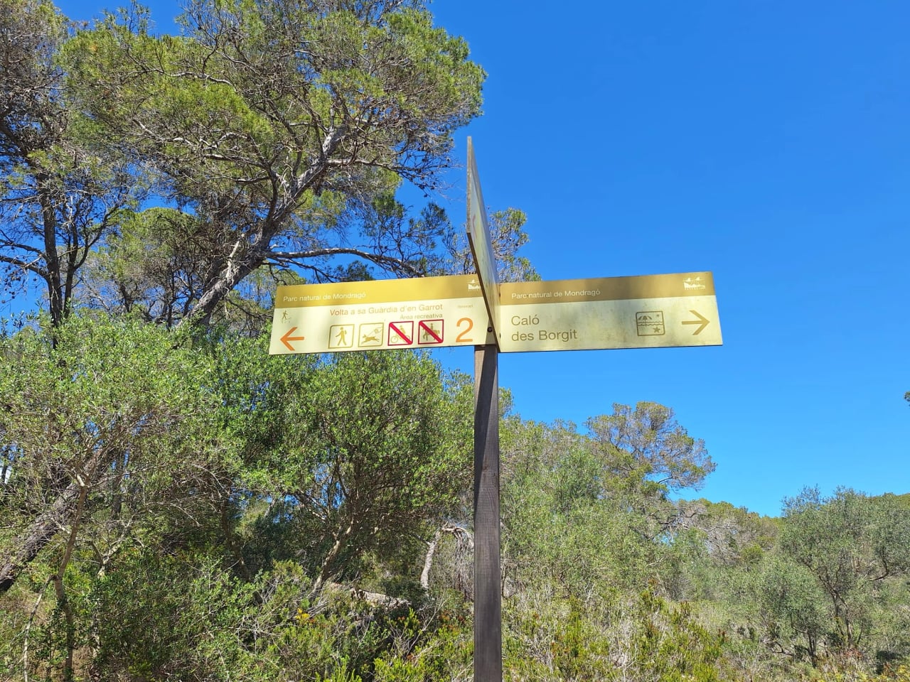 Offenes Reiki-Retreat auf Mallorca