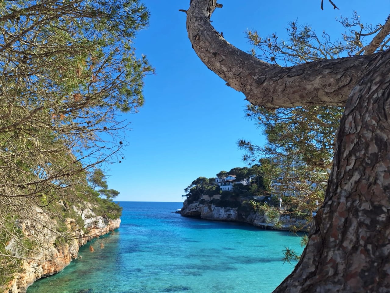 Offenes Reiki-Retreat auf Mallorca