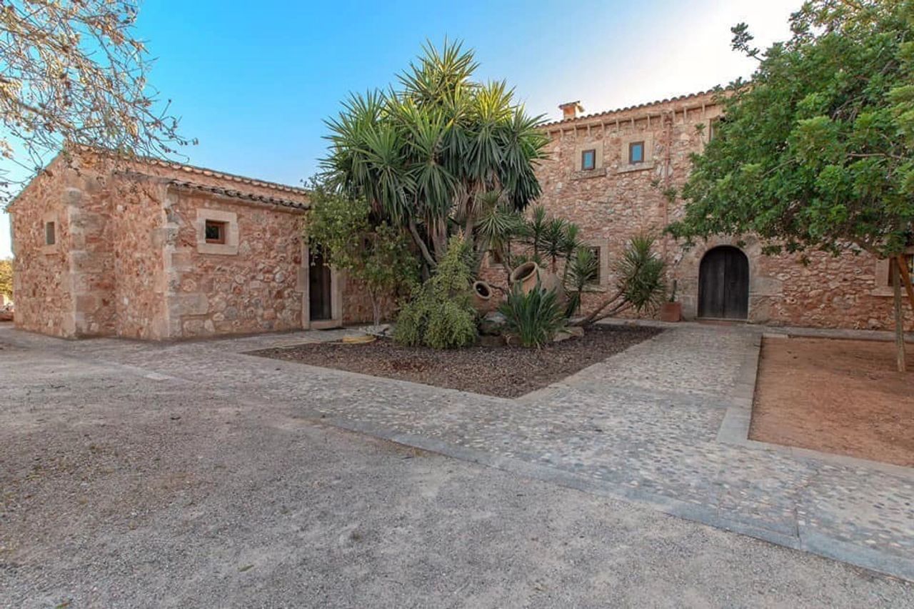 Offenes Reiki-Retreat Mallorca