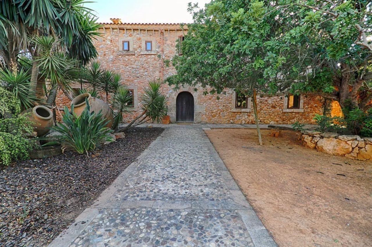 Offenes Reiki-Retreat Mallorca