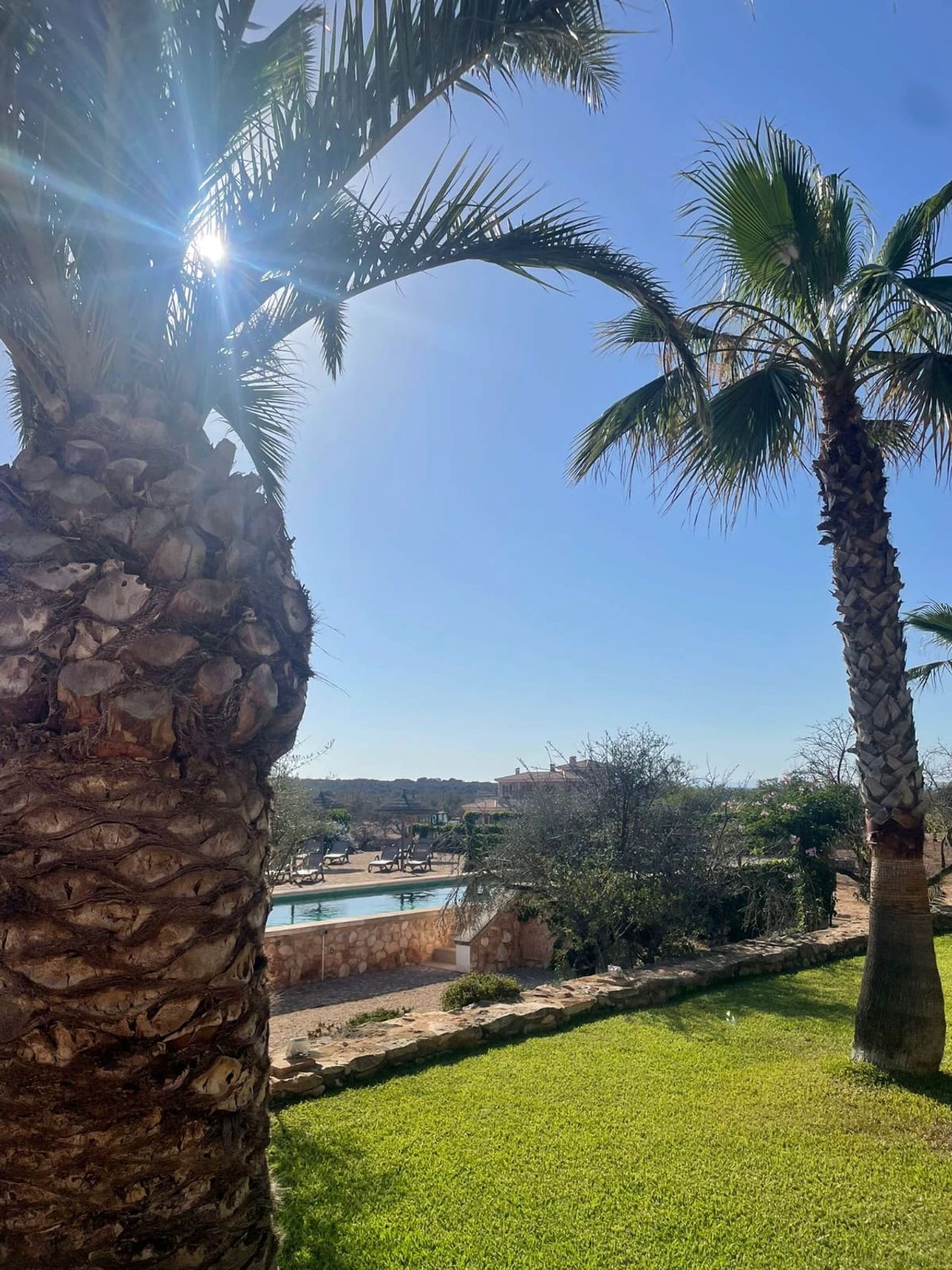 Offenes Reiki-Retreat Mallorca
